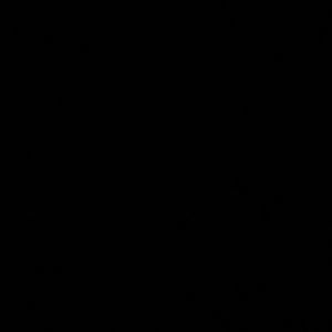 Meet your Posher, Vincent